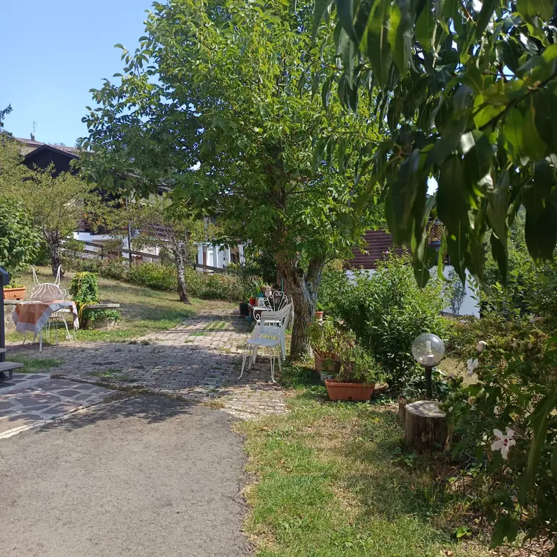 Il pergolato del giardino recintato del B&B