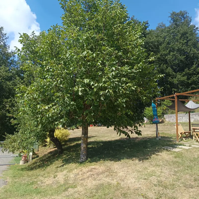 Il pergolato con il tavolo in giardino