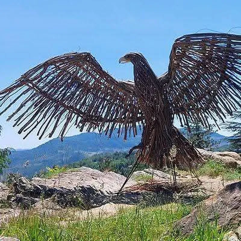 Un gufo scolpito nel legno lungo il percorso di land art del BOM Art Trail